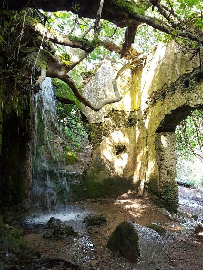 Hébergement de vacances El Sueno Del Bosque *