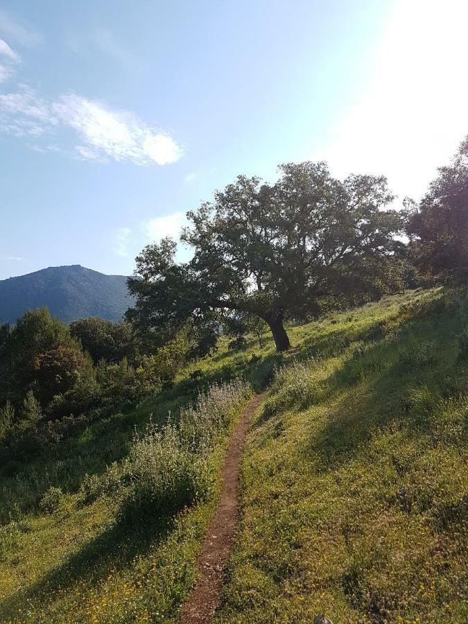 Сasa de vacaciones El Sueño Del Bosque